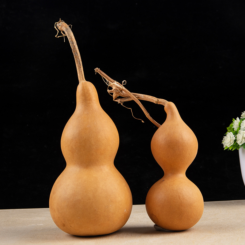 Longevity Health & Wellness Hotel - Adornos artesanales de calabaza natural, nudo