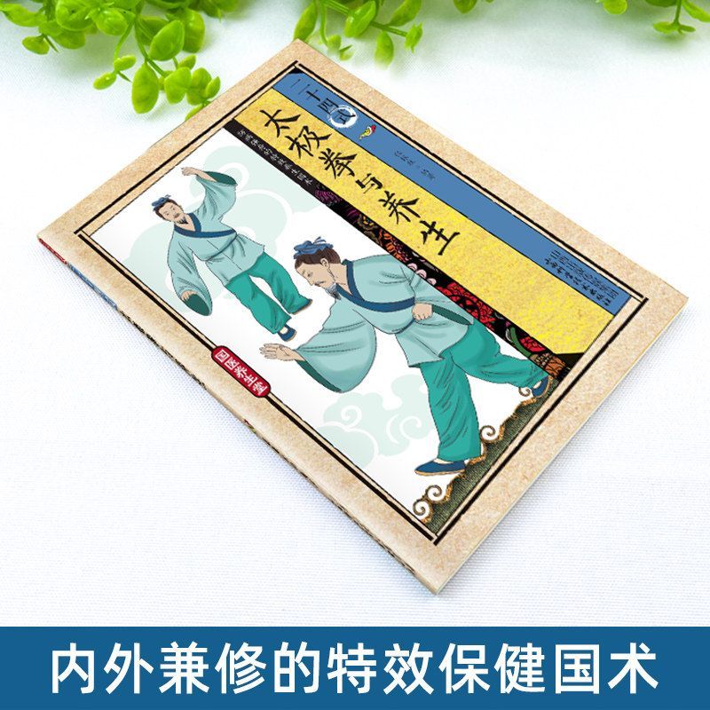 24 Estilos de Tai Chi y Ejerci - Health & Wellness Tablet Cutter reseña y precio