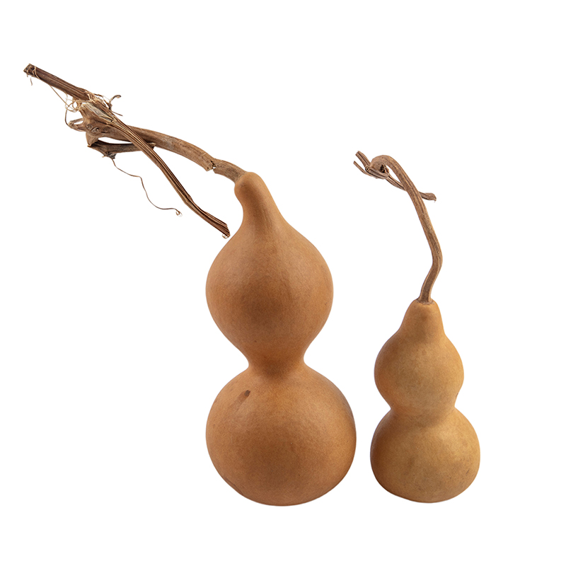 Adornos artesanales de calabaz - Longevity Health & Wellness Hotel reseña y precio
