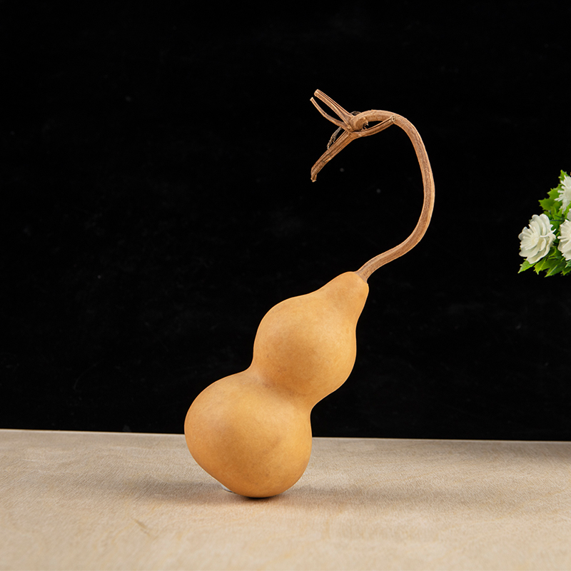 Adornos artesanales de calabaz - Longevity Health & Wellness Hotel reseña y precio