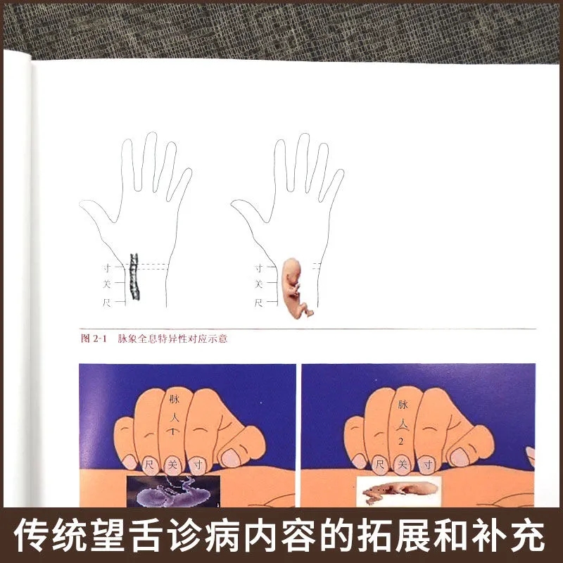 Teoría Holística de Diagnóstic - Holistic Health & Wellness reseña y precio