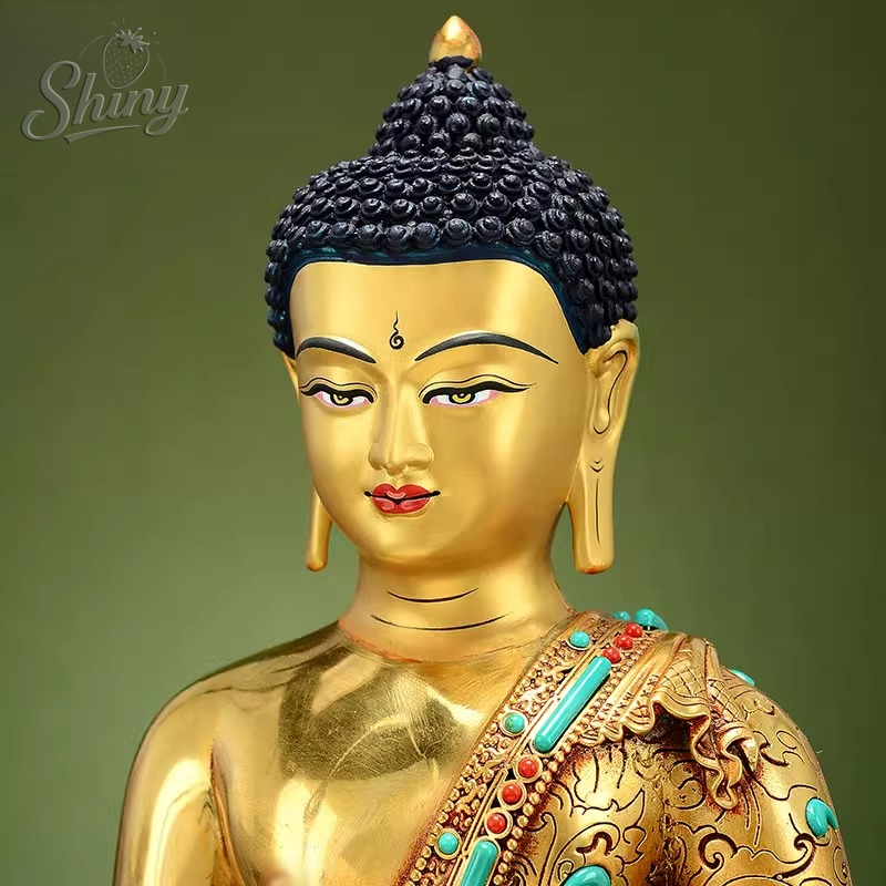 Estatua de Buda del Tíbet, bro - Longevity Health & Wellness Hotel reseña y precio