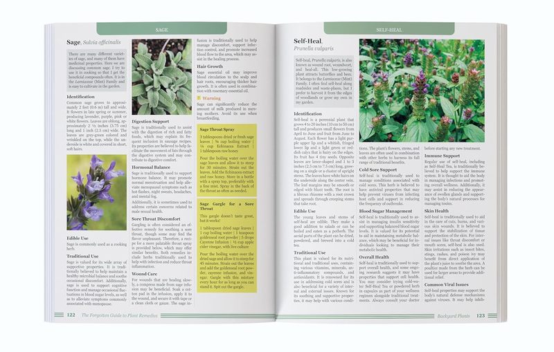 La Guía Olvidada de Remedios V - Holistic Health & Wellness reseña y precio