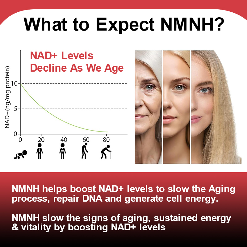 Suplemento Avanzado NMNH 500mg - Holistic Health & Wellness reseña y precio