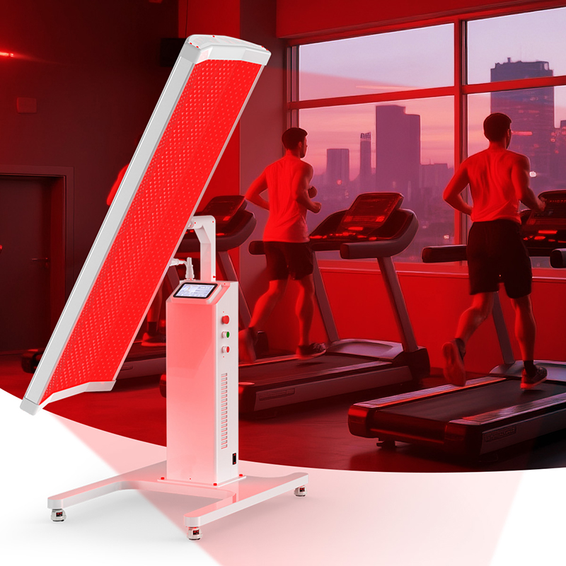 Suyzeko OEM Longevidad Cuidado - Longevity Health & Wellness Hotel reseña y precio