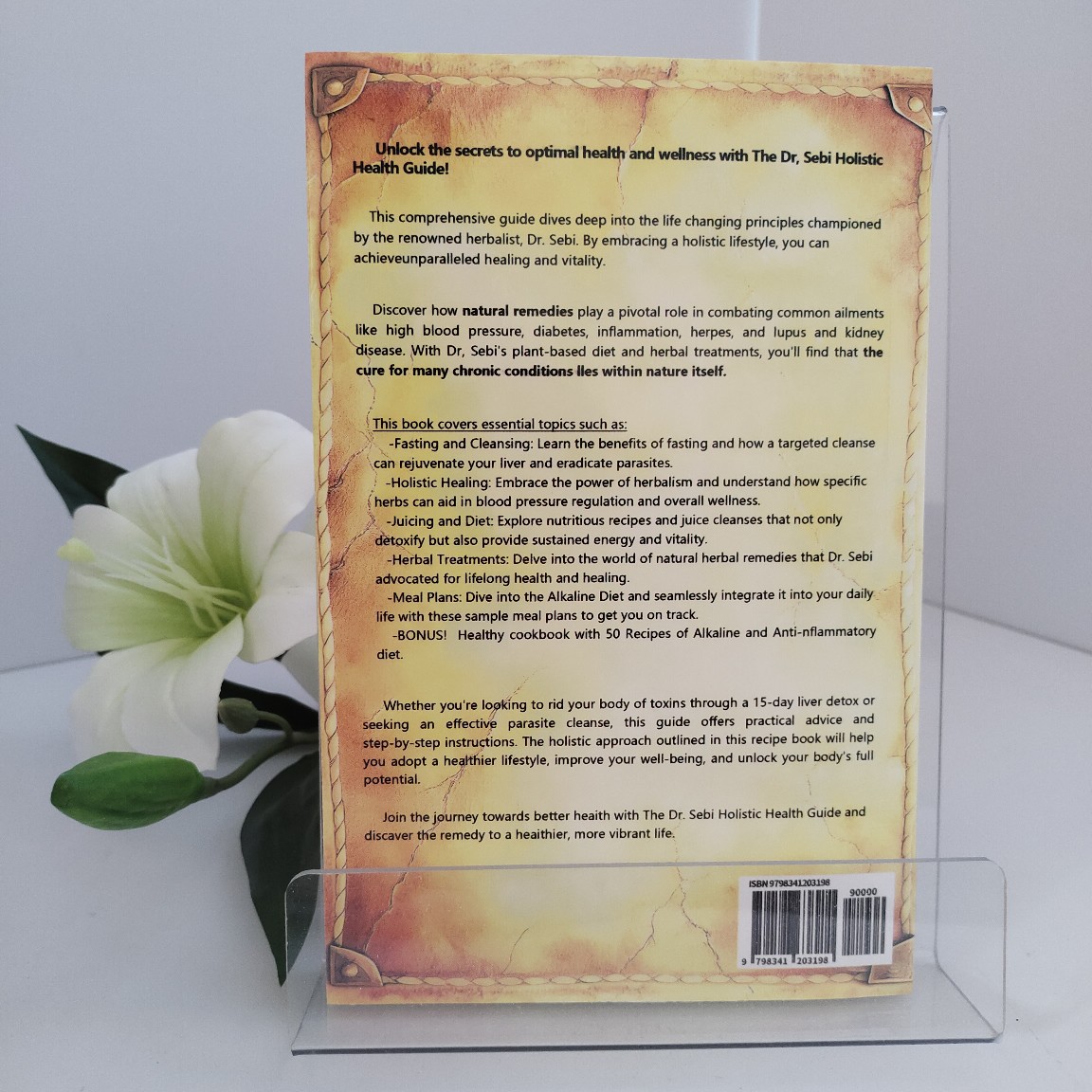 Guía de Salud Holística del Dr - Holistic Health & Wellness reseña y precio