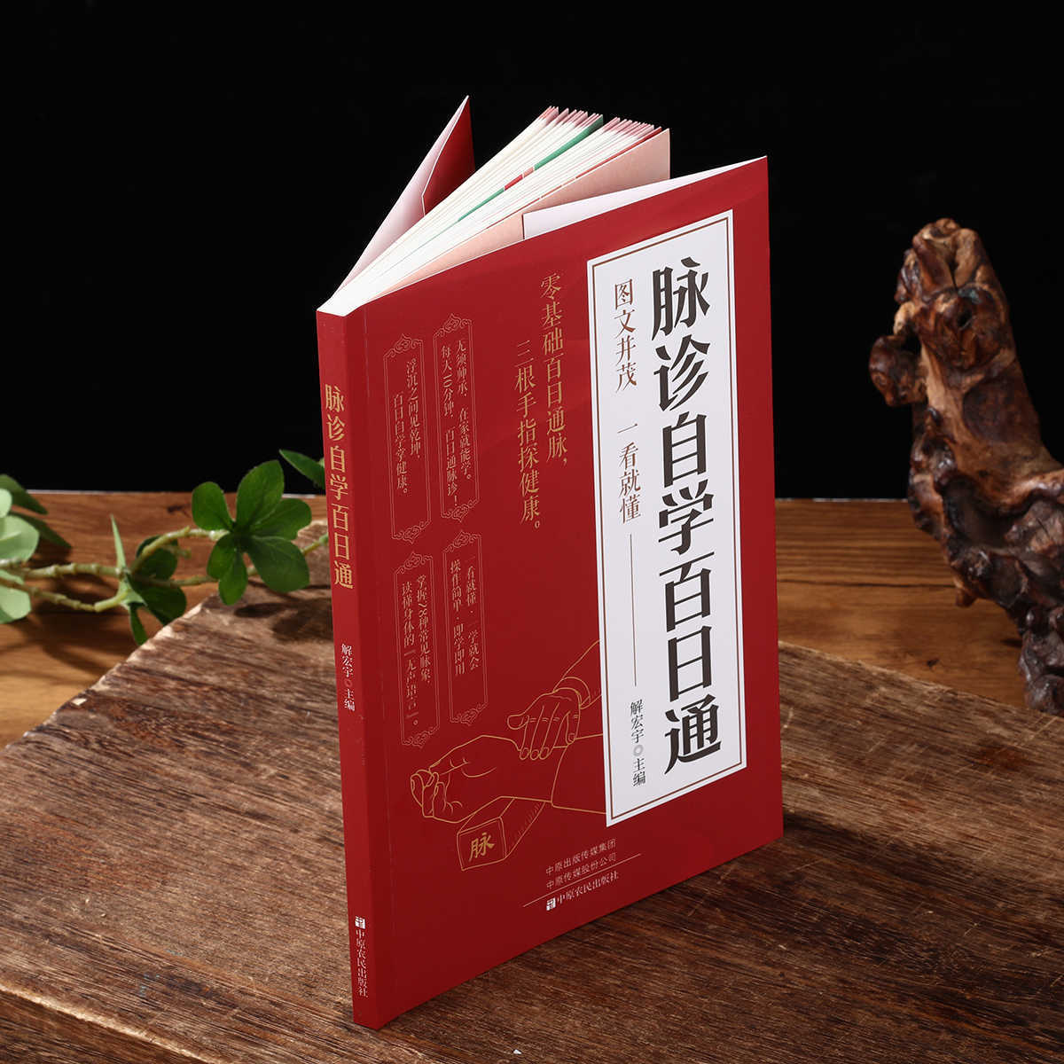 Libro de autoestudio sobre dia - Health & Wellness Tablet Cutter reseña y precio