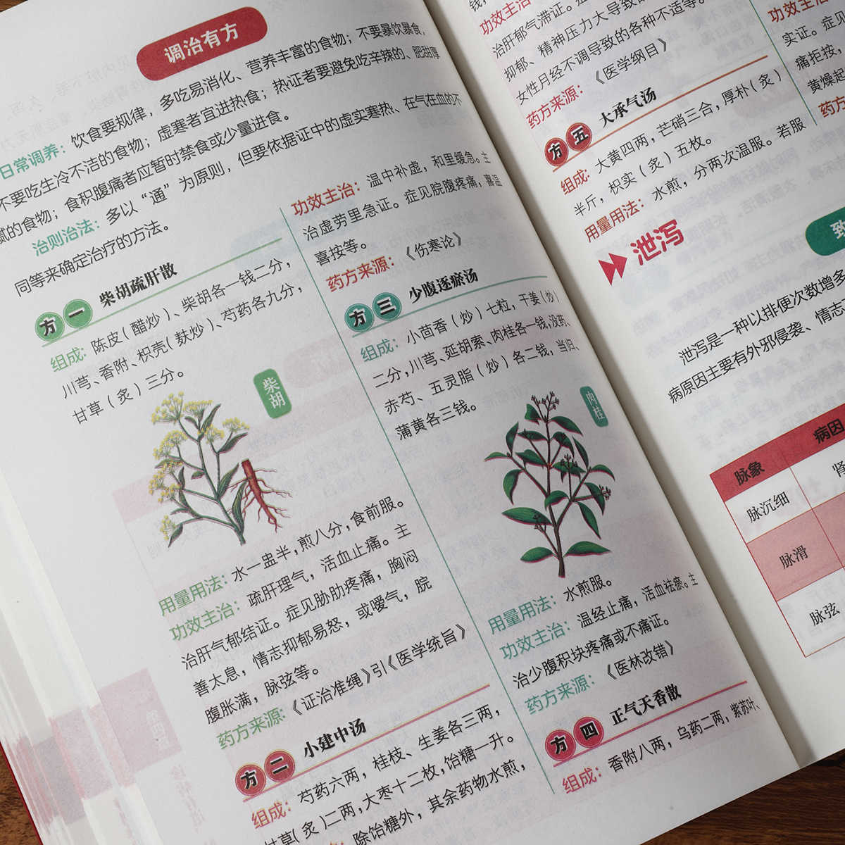 Libro de autoestudio sobre dia - Health & Wellness Tablet Cutter reseña y precio